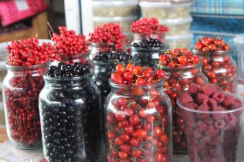 Ягоды осенью в лесу. Описание, свойства и сбор осенних ягод 03