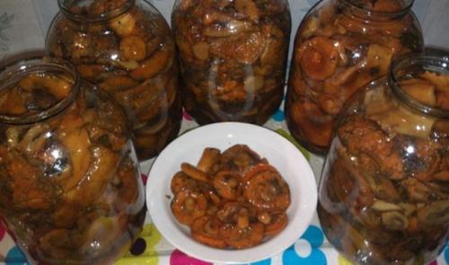 Как закатать соленые грибы. Соленые рыжики, приготовленные сухим способом