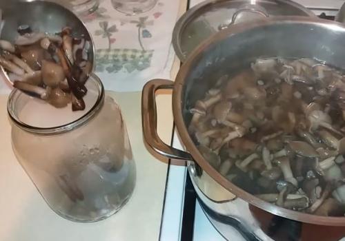 Как мариновать опята. Опята маринованные на зиму: вкусные рецепты быстрого приготовления в домашних условиях