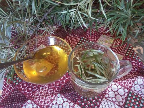 Листья облепихи от чего можно пить. Пришла осенняя пора -чай с облепихой пить пора. Целебный чай из листьев облепихи.