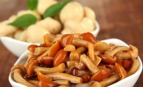 Самая быстрая засолка грибов. Засолка грибов холодным способом — маслята