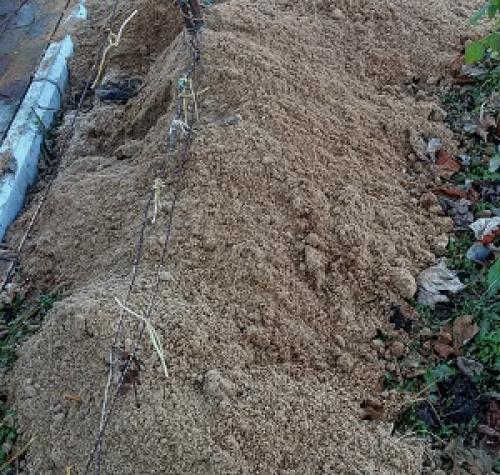 Сроки укрытия винограда на зиму. Способы