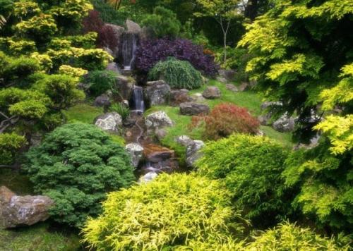 Можжевельник когда сажать осенью. Секреты садоводства: посадка можжевельника осенью 12