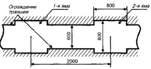 Посадка черенков винограда. Черенкование винограда: заготовка, нарезка, посадка, уход