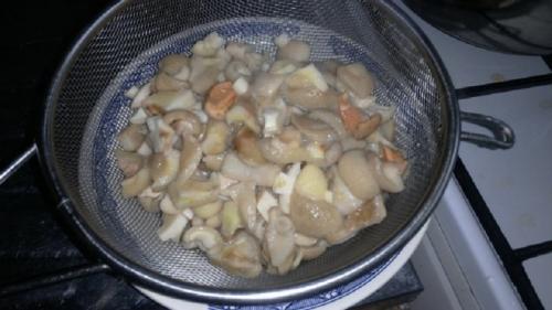 Рассол для засолки грибов. Засолка грибов 02