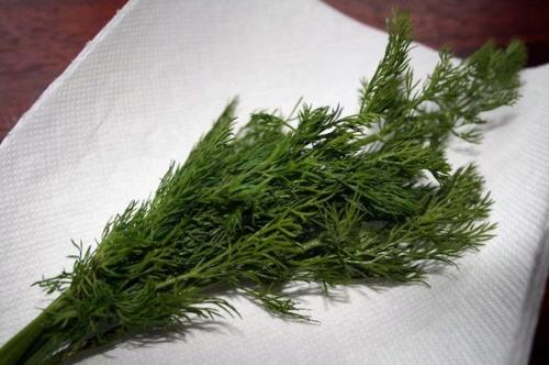 Как сохранить петрушку на долгое время. Чтобы зелень была свежей