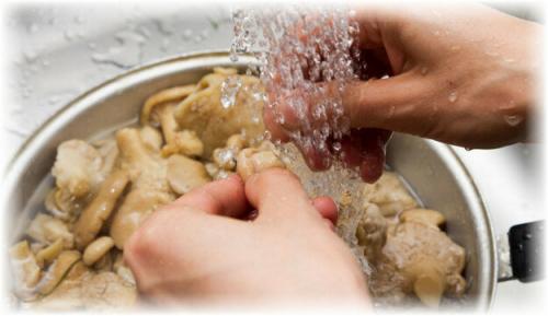 Как чистить вешенки