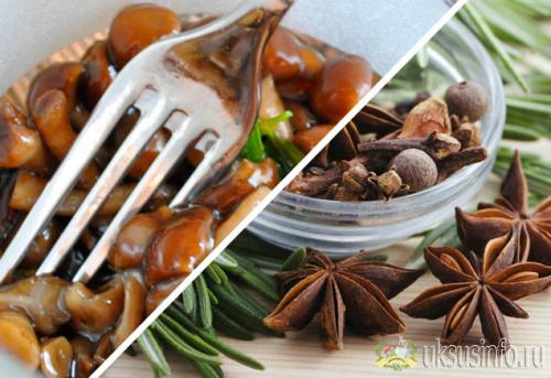 Маринад для грибов без стерилизации. Универсальные рецепты маринада для лесных грибов