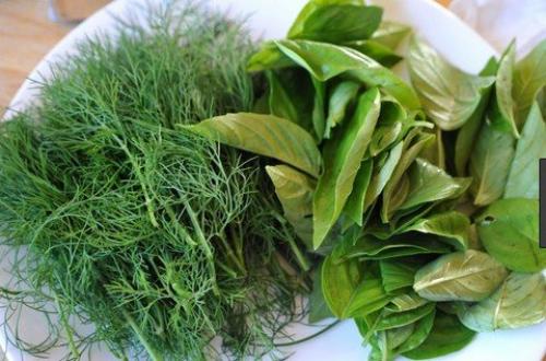 Как сохранить петрушку на долгое время. Чтобы зелень была свежей