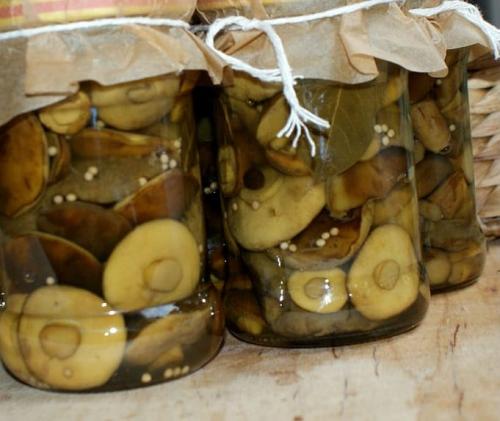 Как мариновать польский гриб. Консервирование маринованных грибочков