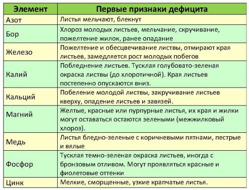 Обработка абрикоса осенью. Чем подкормить абрикос осенью