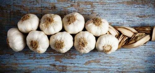 Как сохранить чеснок очищенный. Подготовка и условия хранения