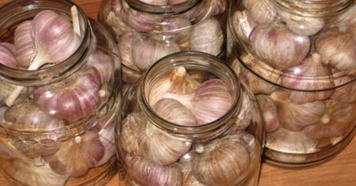 Как хранить чеснок в городской квартире. Как хранить чеснок в домашних условиях — самые простые способы хранения