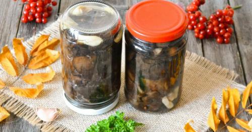 Как варить свинушки для заморозки. Рецепты варки, жарки и маринования свинушек