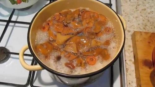 Приготовление грибов рыжиков в домашних условиях. Как правильно засолить рыжики: горячая и холодная засолка