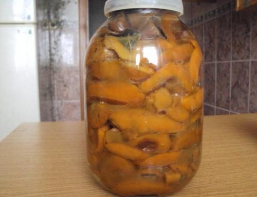 Как солить рыжики и волнушки. Как же засолить грибы?