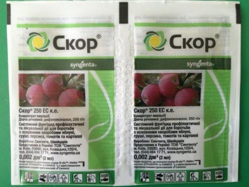 Болезни яблони. Яблони болезни и борьба с ними