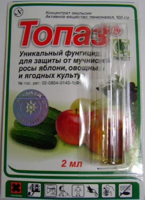 Болезни яблони. Яблони болезни и борьба с ними