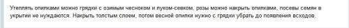 Можно ли укрывать розы на зиму опилками. Что можно укрывать на зиму опилками?