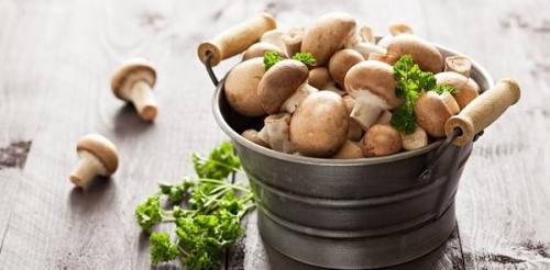 Сколько варить грибы