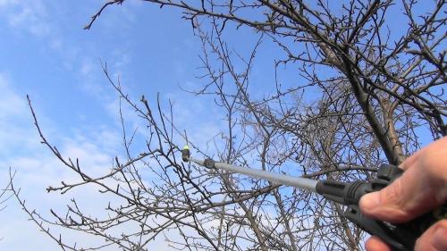 Обработка сада мочевиной. Осенняя обработка сада мочевиной