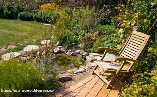 Норы лягушек. Лягушки и жабы в саду и огороде - это клад