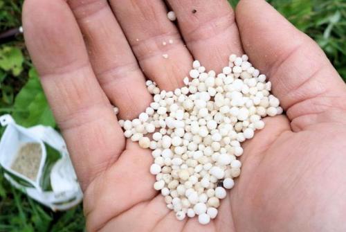 Обработка сада мочевиной. Осенняя обработка сада мочевиной