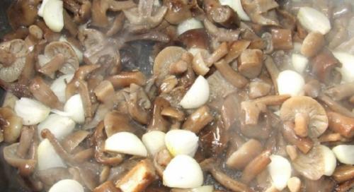Сколько варить опята осенние. Как варить опята 01 Сколько варить опята осенние. Как варить опята 01