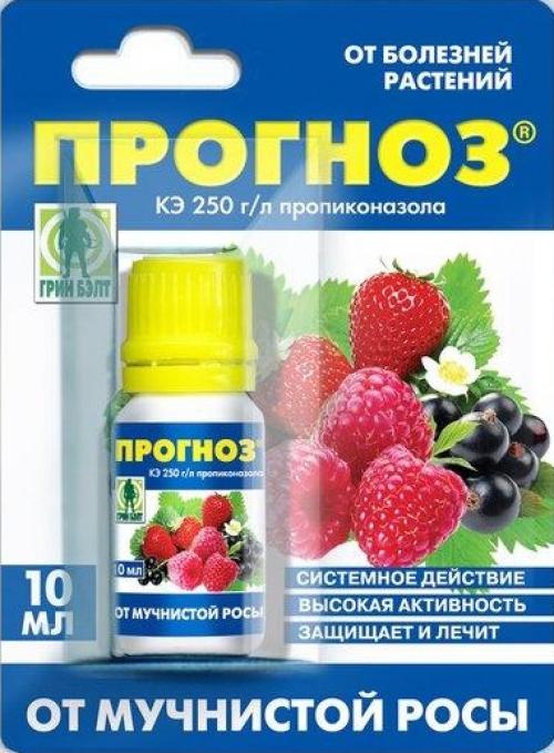 Болезни яблони. Яблони болезни и борьба с ними