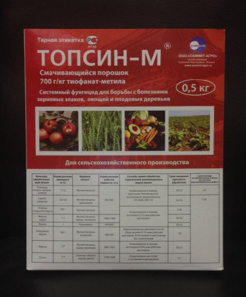 Парша на абрикосе