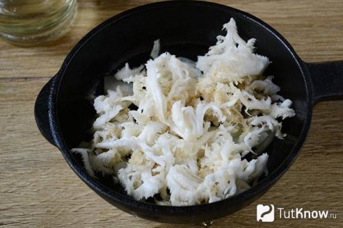 Грибы оленьи рожки съедобные и несъедобные. Описание внешнего вида гриба 08