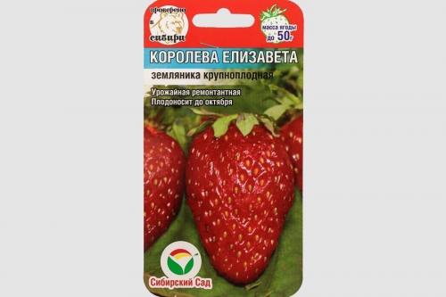 Грунт для клубники в домашних условиях. Выращивание клубники из семян в домашних условиях