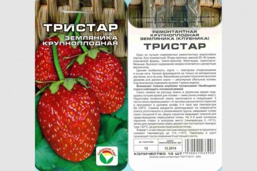 Грунт для клубники в домашних условиях. Выращивание клубники из семян в домашних условиях