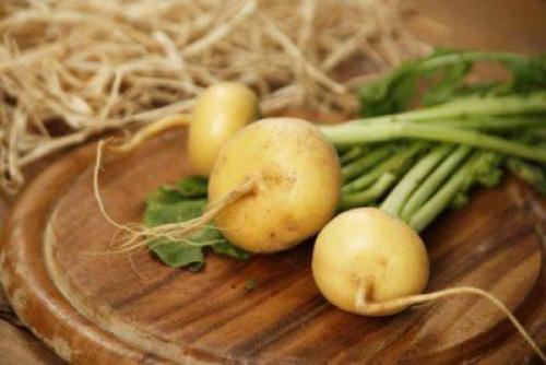 Репа уход и выращивание. Выращивание репы в открытом грунте 03