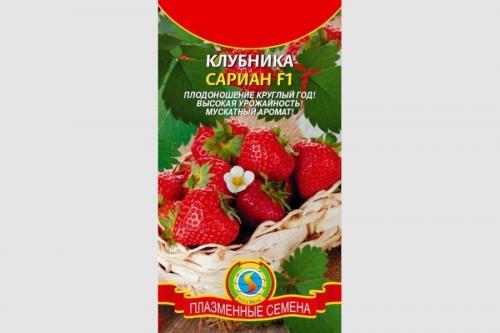 Грунт для клубники в домашних условиях. Выращивание клубники из семян в домашних условиях