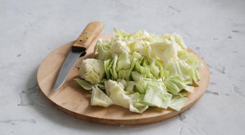 Капуста суточная с чесноком и морковью. Суточная капуста с морковью и чесноком быстрого приготовления 19