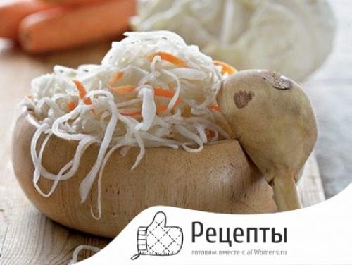 Капуста суточная с чесноком и морковью. Суточная капуста с морковью и чесноком быстрого приготовления 27