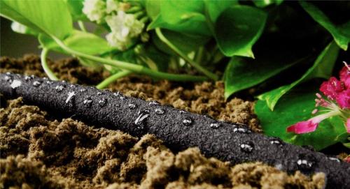 Огород для ленивых. Урожайный огород для ленивых