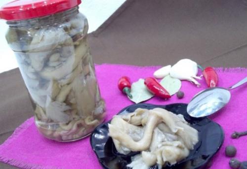 Как заморозить на зиму свинушки. Как солить свинухи в домашних условиях вкусно и просто 02