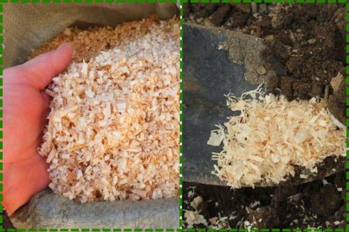 Готовим грядки под клубнику. Грядки для клубники своими руками: интересные идеи