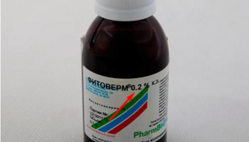 Фитоверм для клубники. Как правильно применять Фитоверм на клубнике