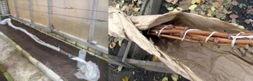 Можно ли укрыть виноград линолеумом. Способы укрытия винограда на зиму