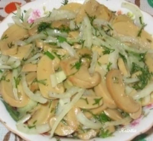 Можно ли жарить Подберезовики не отваривая. Можно ли сразу жарить Подберезовики без варки