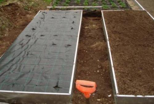 Как подготовить грядку под клубнику весной. Как сделать грядку для клубники