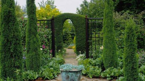 Можно ли сажать осенью можжевельник. Можно ли в сентябре сажать Можжевельник? 20