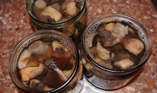 Опята, как готовить. Как готовить луговые опята правильно