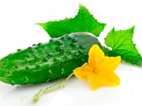 Чем подкормить пожелтевшие огурцы. Зачем подкармливать огурцы