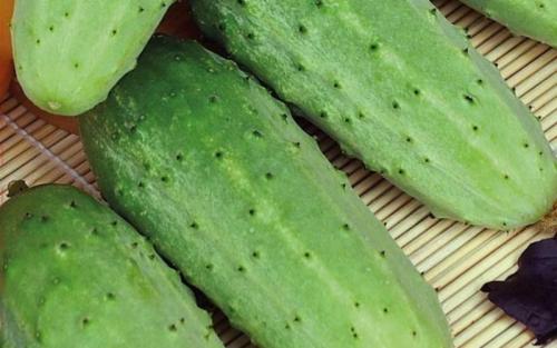 Какие огурцы не боятся болезней. 11 сортов огурцов, которые устойчивы к мучнистой росе