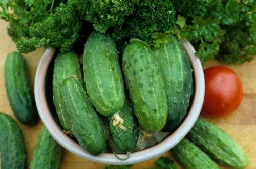 Какие огурцы не боятся болезней. 11 сортов огурцов, которые устойчивы к мучнистой росе