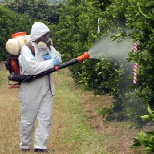 Зимняя обработка сада. Обработка сада от болезней и вредителей